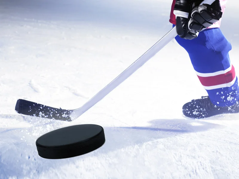 Fantasy hockey interface